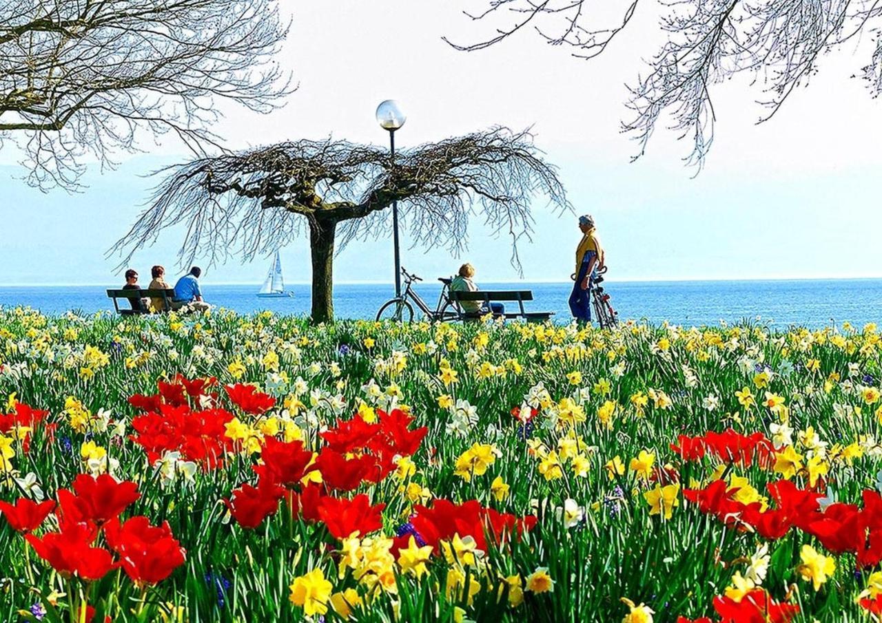 Hotel Am Rehberg Garni Lindau  Kültér fotó